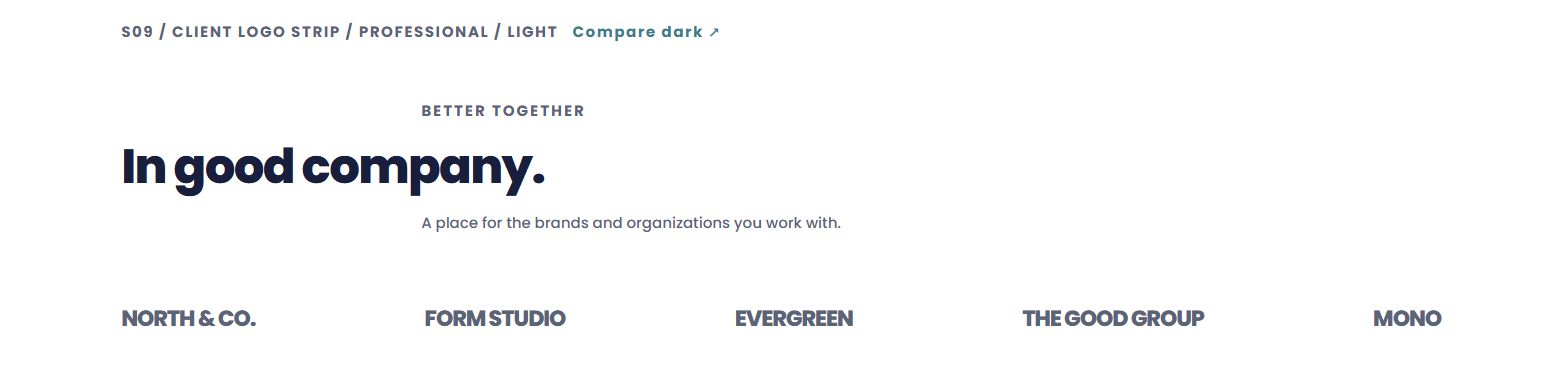 Client logo strip — actual light design preview