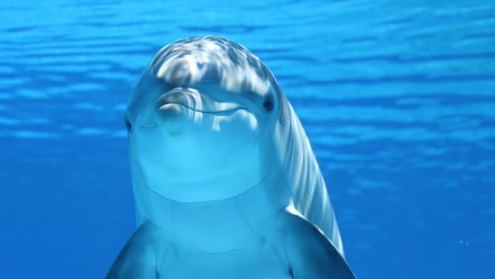 Beautiful Images