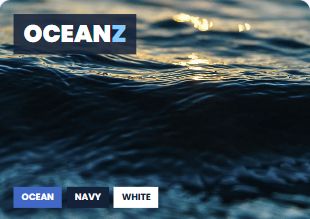 Oceanz Original — Divi 5 layout preview
